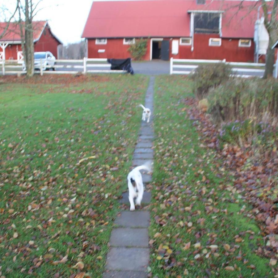 Strandnaera Stuga Vaenersnaes Villa Vargon Exterior photo